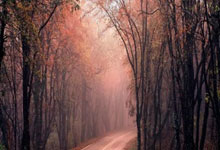 瑞典对阵斯洛伐克的比分最终是多少？