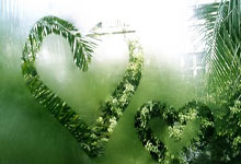 西甲拉斯帕尔马斯vs皇马，这场较量会有哪些精彩看点和胜负悬念？